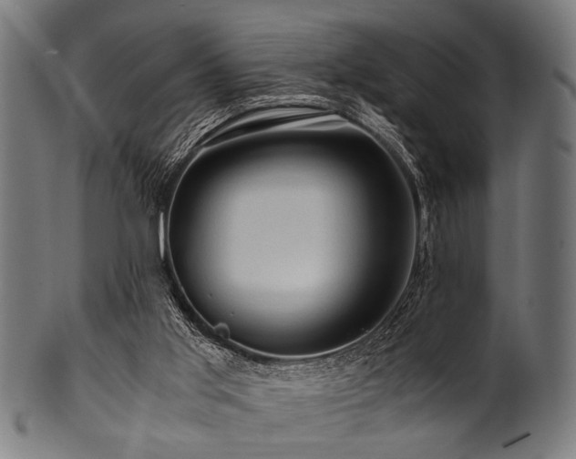 X0000100950013200806241514