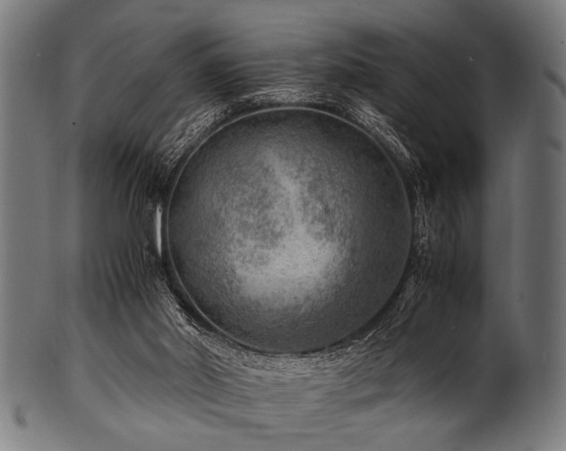 X0000100950014200806241514