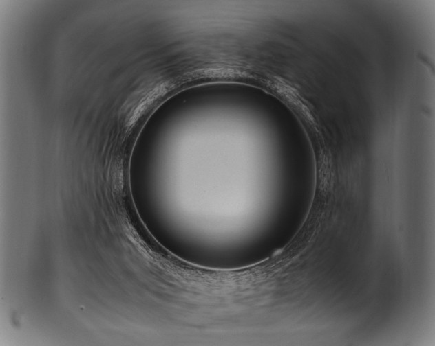 X0000100950015200806241514