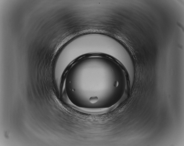 X0000100950016200806241514
