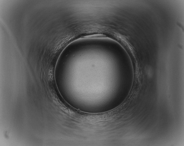 X0000100950017200806241514