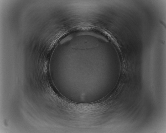 X0000100950018200806241514