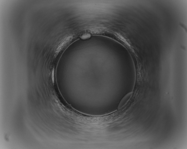 X0000100950019200806241514