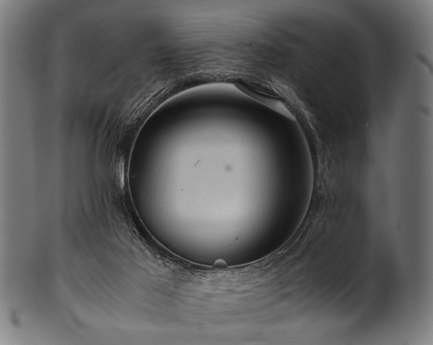 X0000100950021200806241514