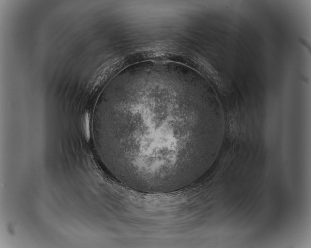 X0000100950022200806241514