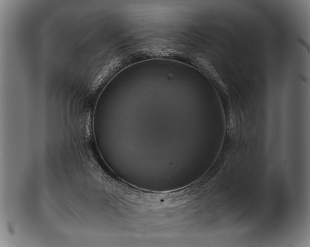 X0000100950023200806241514