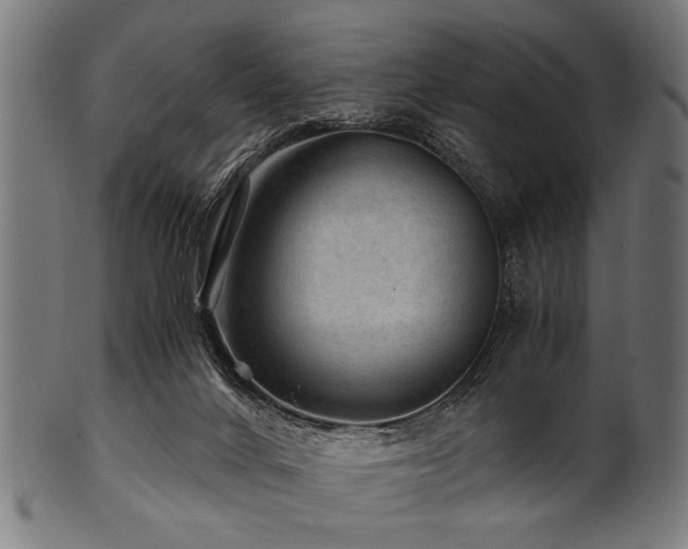 X0000100950024200806241514