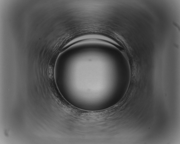 X0000100950025200806241514