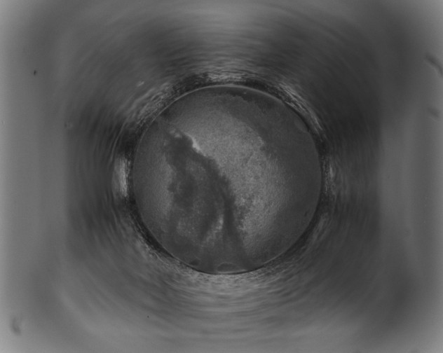 X0000100950026200806241514