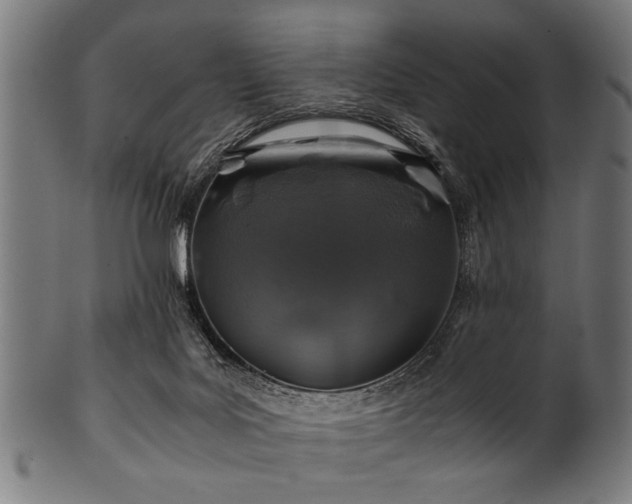 X0000100950027200806241514