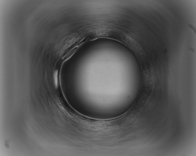 X0000100950028200806241514