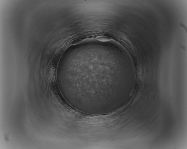 X0000100950029200806241514