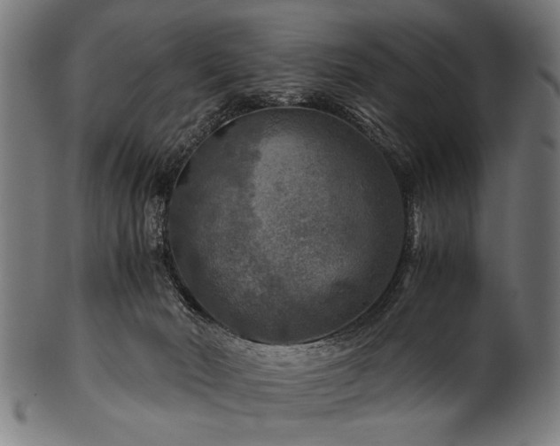 X0000100950030200806241514