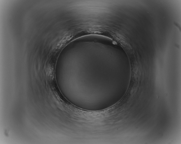 X0000100950031200806241514