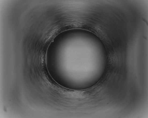 X0000100950032200806241514