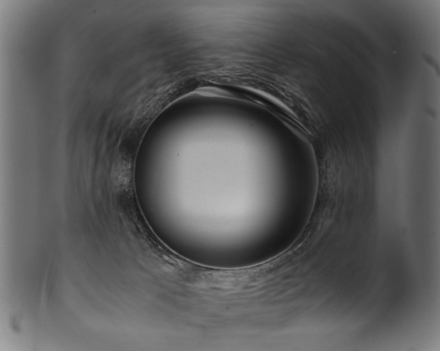 X0000100950033200806241514