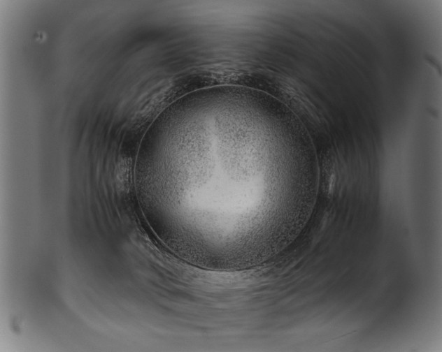 X0000100950034200806241514