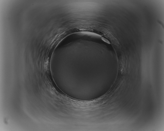 X0000100950035200806241514