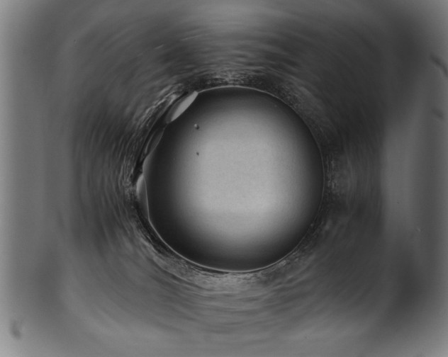 X0000100950036200806241514