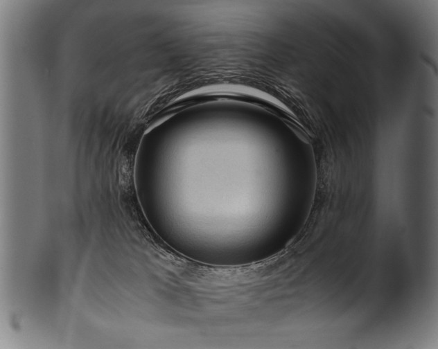 X0000100950037200806241514