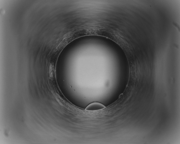 X0000100950038200806241514