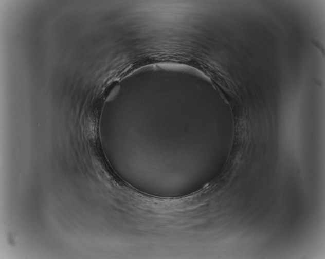 X0000100950039200806241514