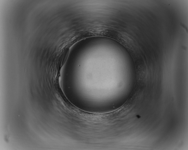 X0000100950040200806241514