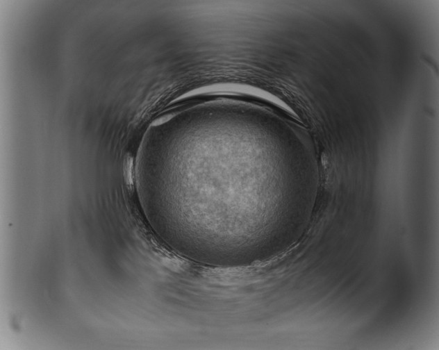 X0000100950041200806241514