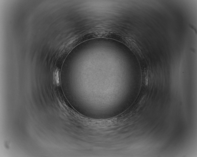 X0000100950042200806241514