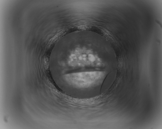 X0000100950043200806241514