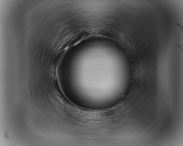 X0000100950044200806241514