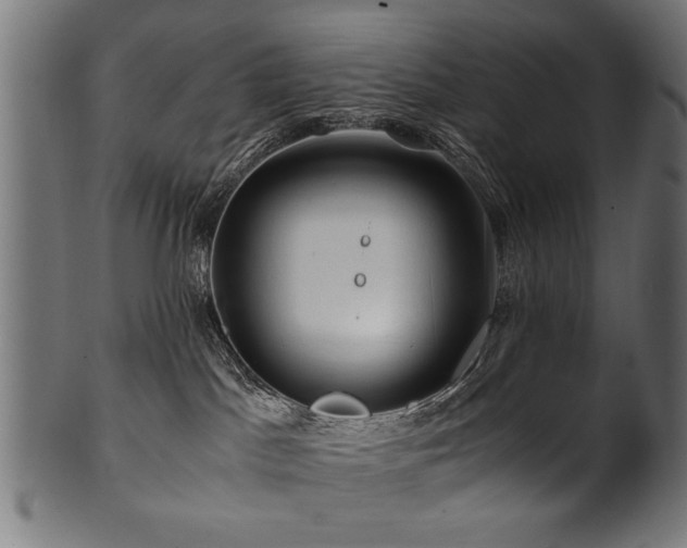 X0000100950045200806241514