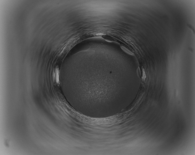 X0000100950046200806241514