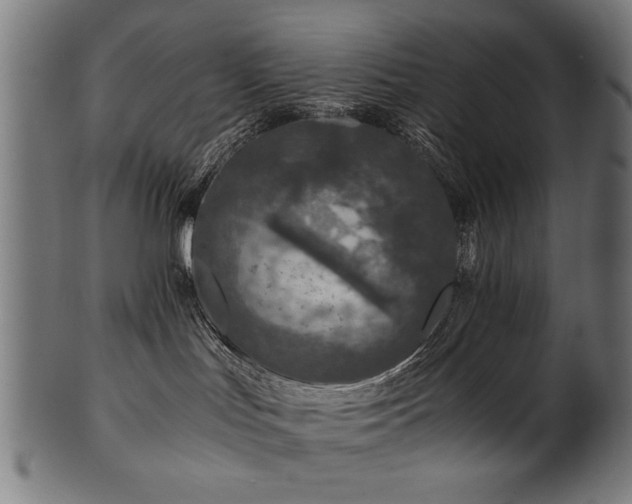 X0000100950047200806241514