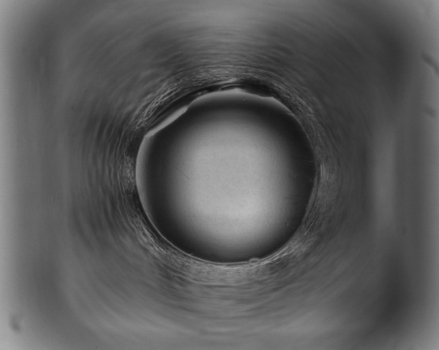 X0000100950048200806241514