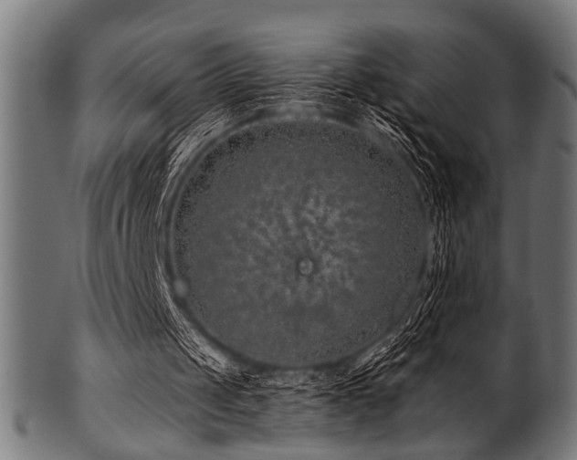 X0000100950049200806241513
