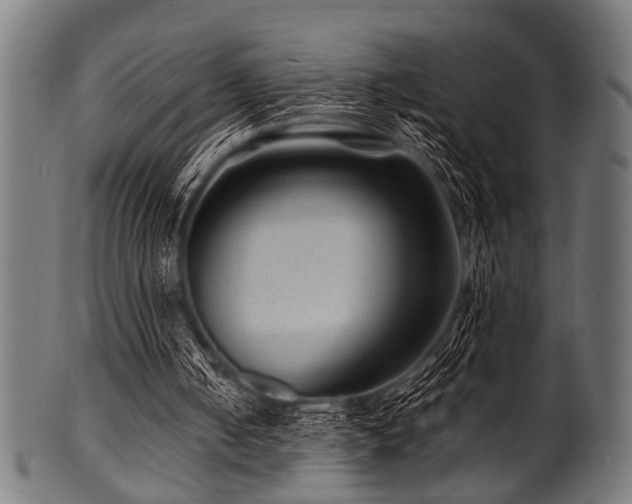 X0000100950050200806241513