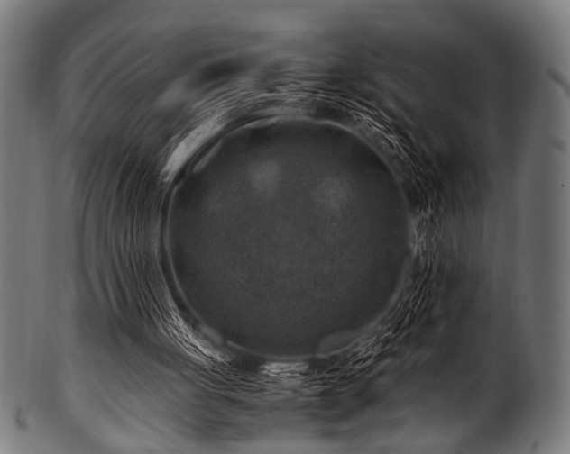 X0000100950051200806241513