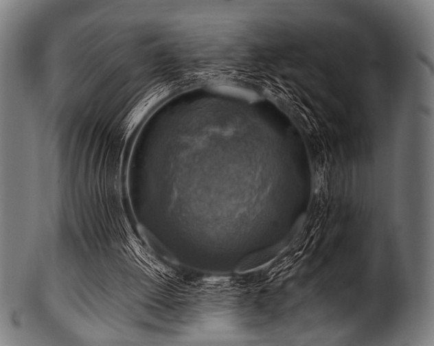 X0000100950052200806241513