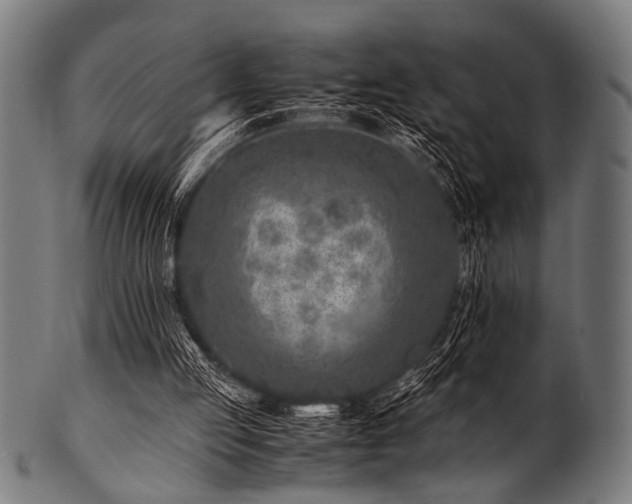 X0000100950053200806241513