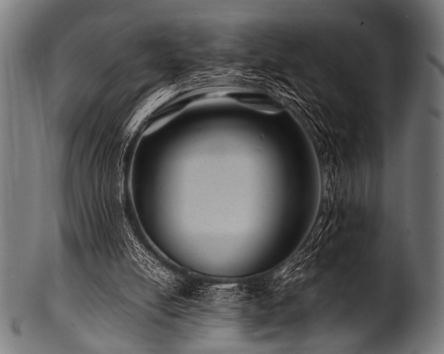 X0000100950054200806241513
