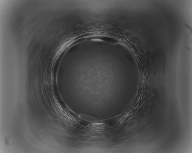 X0000100950055200806241513