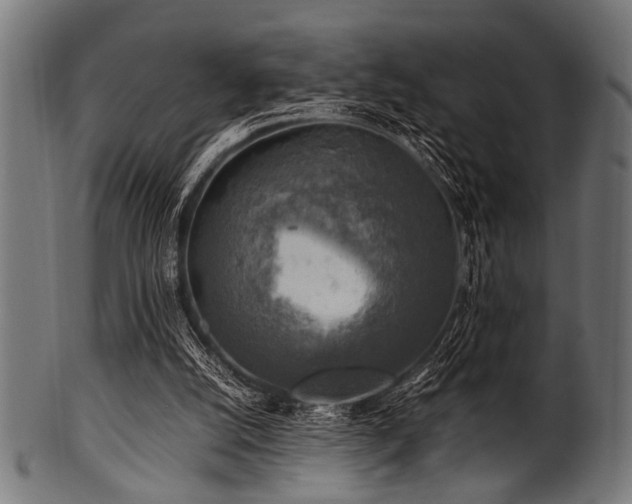 X0000100950056200806241513