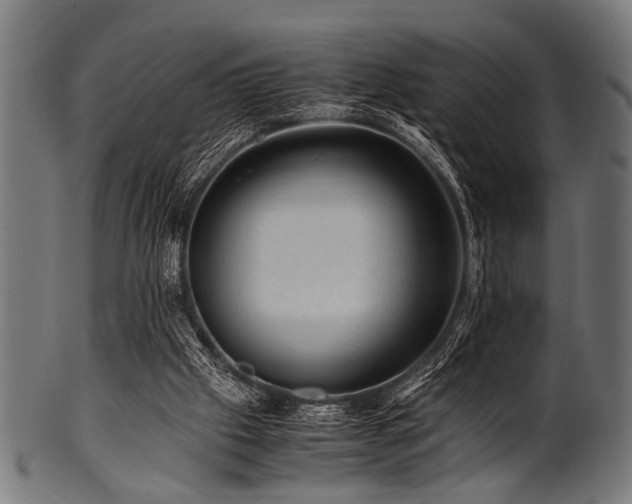 X0000100950057200806241513