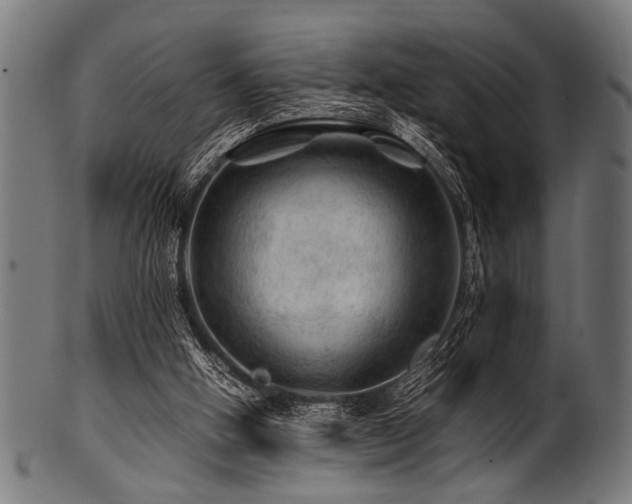 X0000100950058200806241513