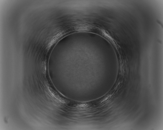 X0000100950059200806241513
