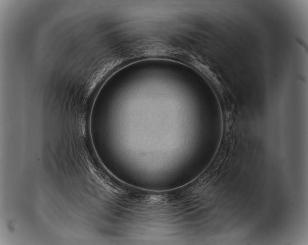 X0000100950060200806241513