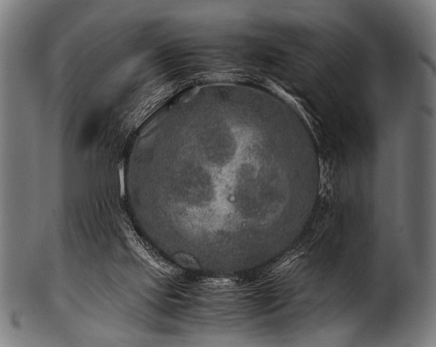 X0000100950061200806241513