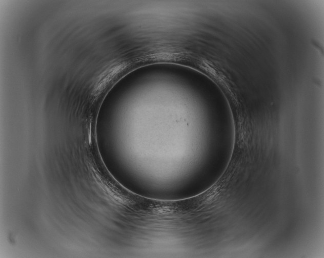 X0000100950062200806241513