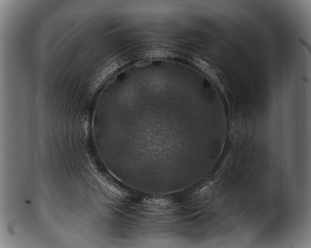 X0000100950063200806241513